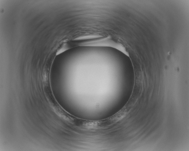 X0000084040084200703022200