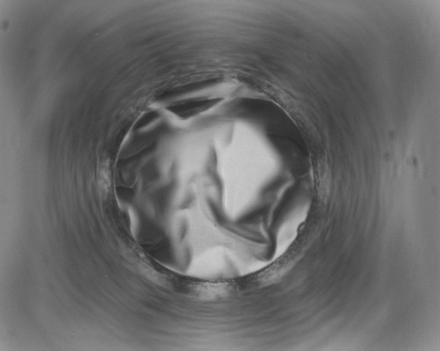 X0000084040085200703022200