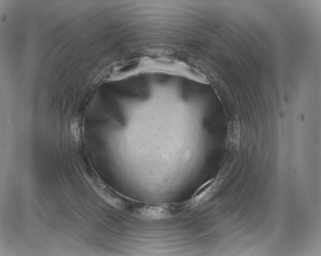 X0000084040086200703022200