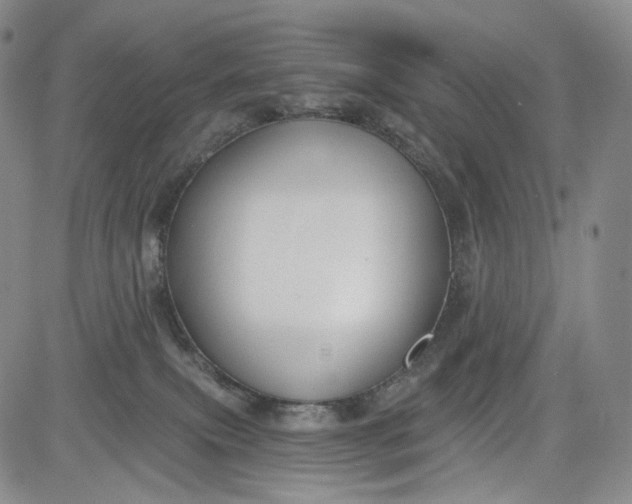 X0000084040087200703022200