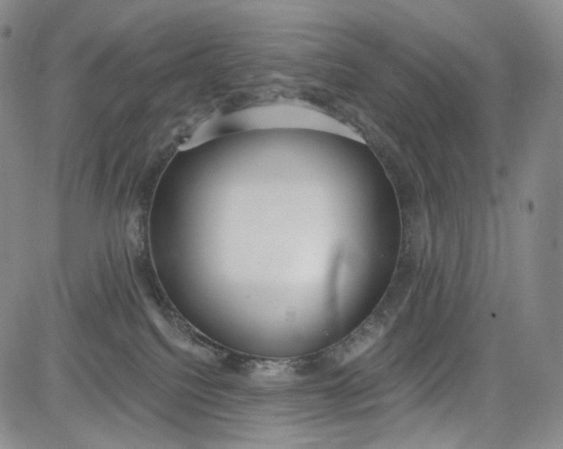 X0000084040088200703022200