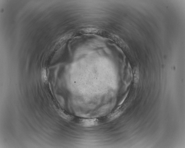 X0000084040089200703022200