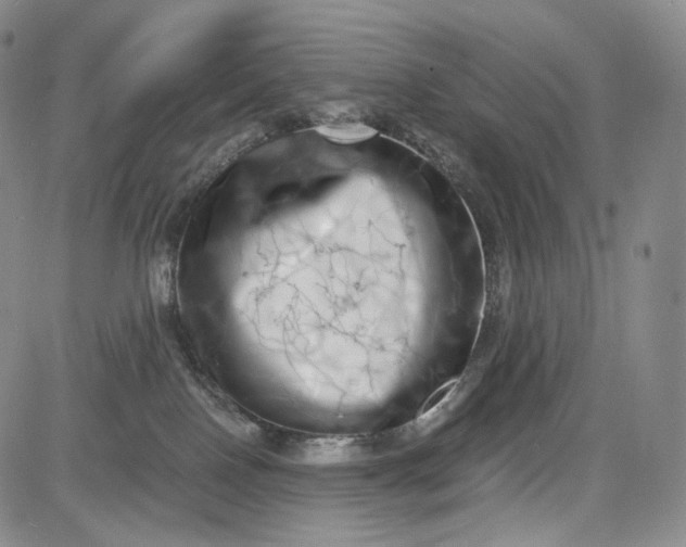 X0000084040090200703022200