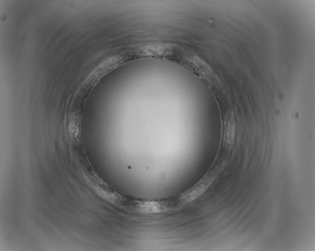 X0000084040091200703022200