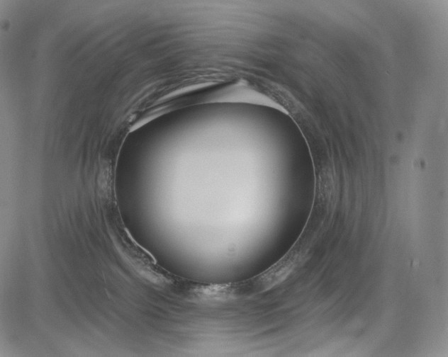 X0000084040092200703022200