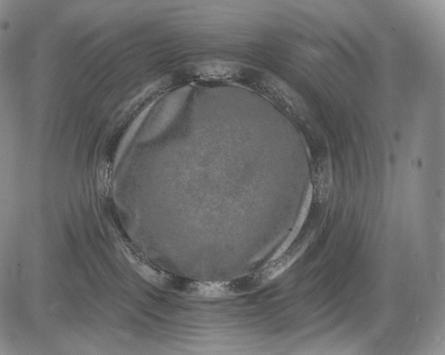 X0000084040093200703022200