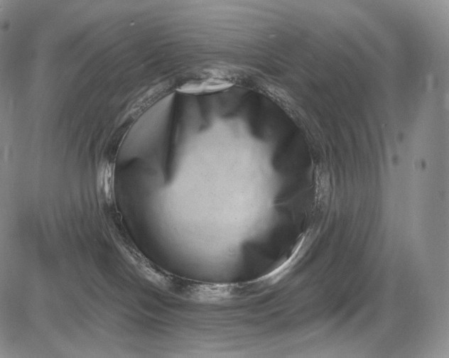 X0000084040094200703022200