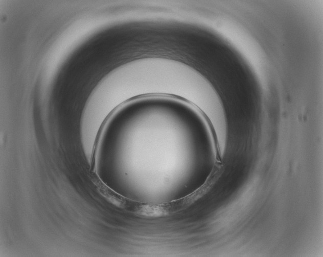 X0000084040095200703022200