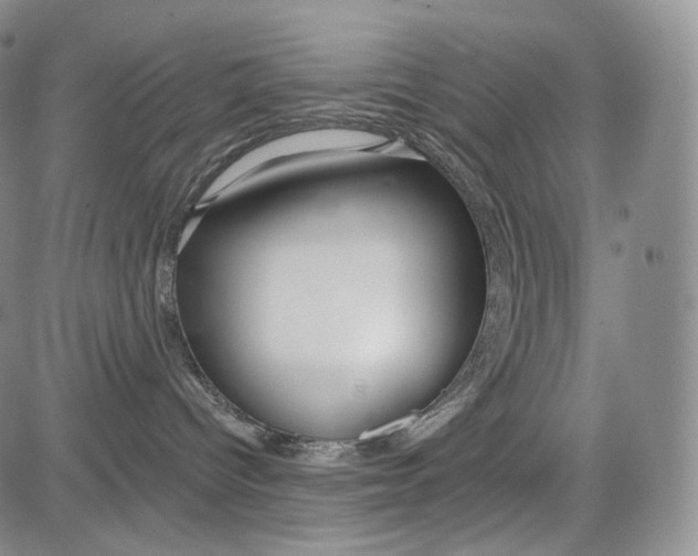 X0000084040096200703022200