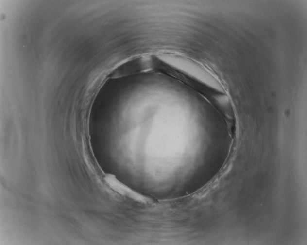 X0000084040097200703022159