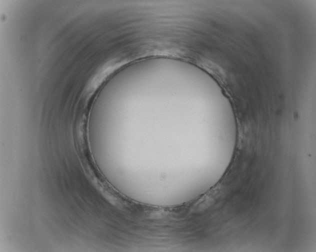 X0000084040098200703022159