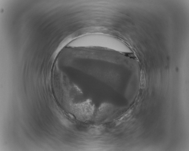 X0000084040099200703022159