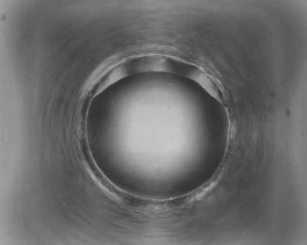 X0000084040101200703022159