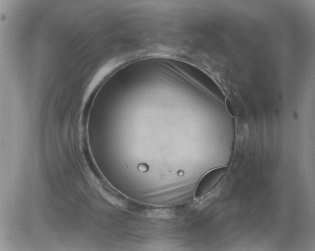 X0000084040102200703022159