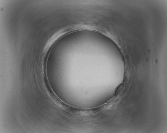 X0000084040103200703022159