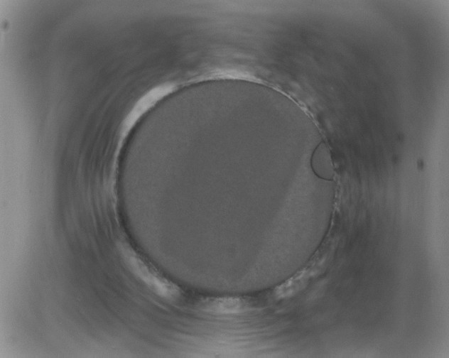 X0000084040104200703022159