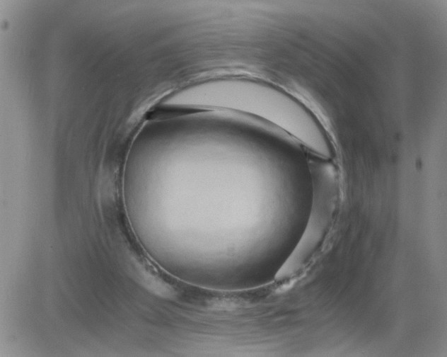 X0000084040105200703022159