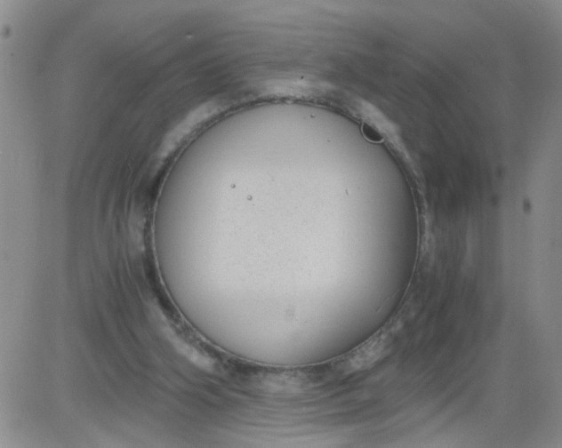 X0000084040106200703022159