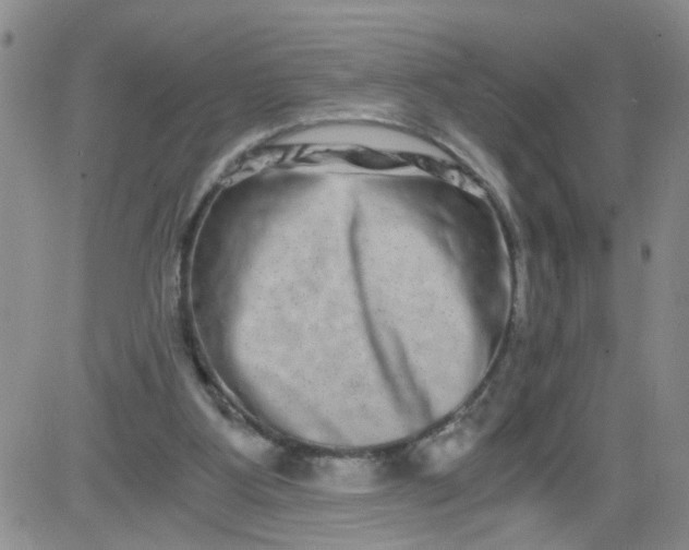 X0000084040107200703022159