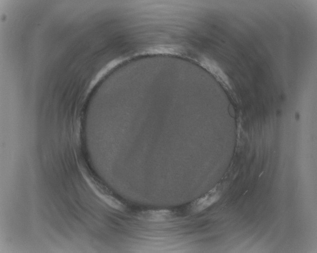 X0000084040108200703022159