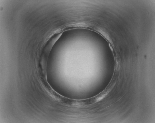 X0000084040109200703022159