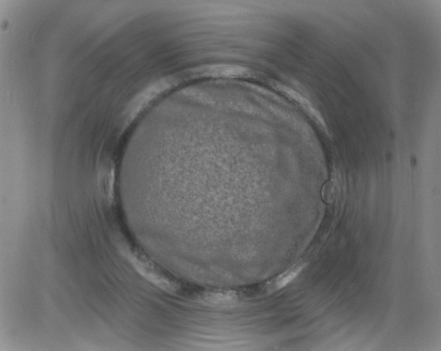 X0000084040110200703022159