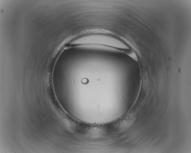 X0000084040111200703022159