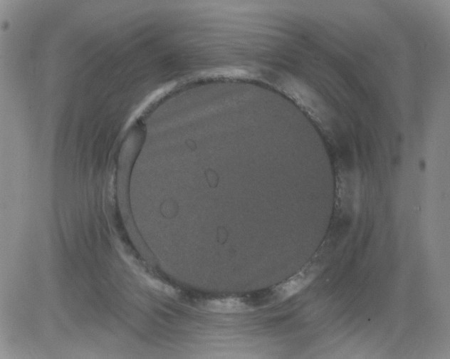 X0000084040112200703022159