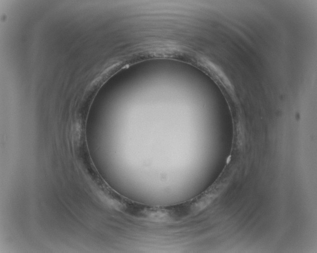 X0000084040113200703022159