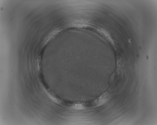 X0000084040114200703022159