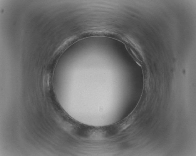 X0000084040115200703022159