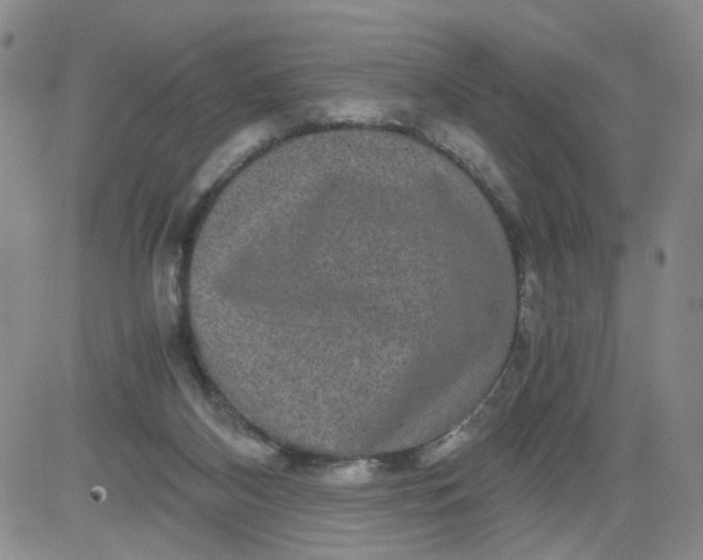 X0000084040116200703022159