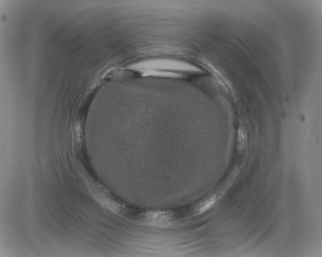 X0000084040117200703022159