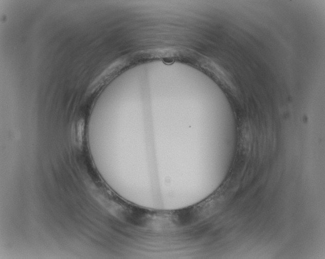 X0000084040118200703022159