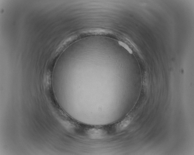 X0000084040119200703022159