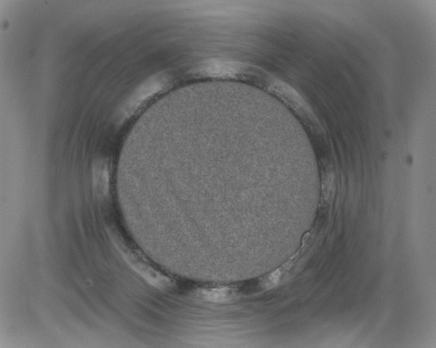 X0000084040120200703022159