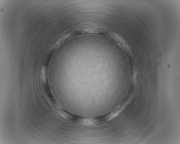 X0000084040121200703022159