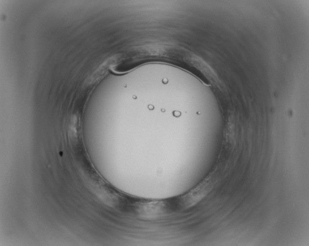 X0000084040122200703022159