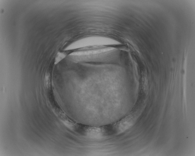 X0000084040123200703022159