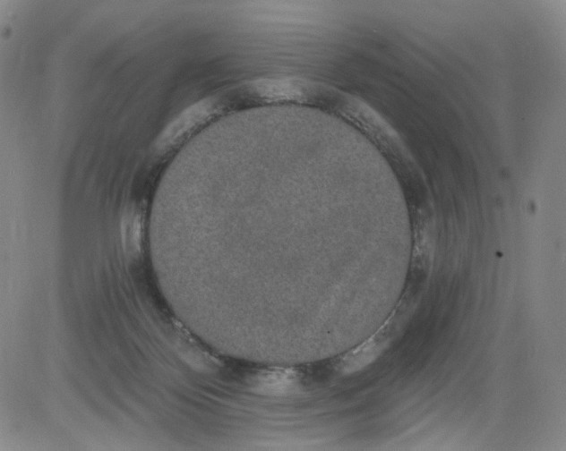 X0000084040124200703022159