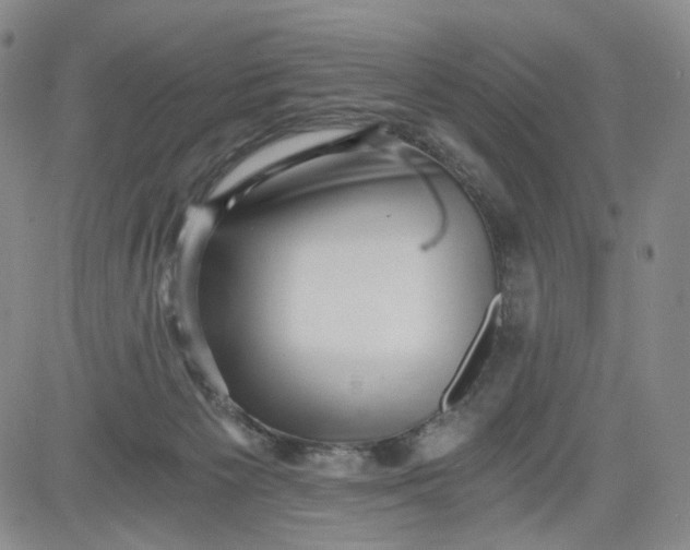 X0000084040125200703022159