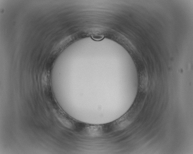 X0000084040126200703022159