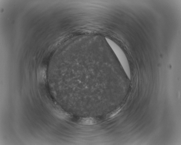 X0000084040127200703022159