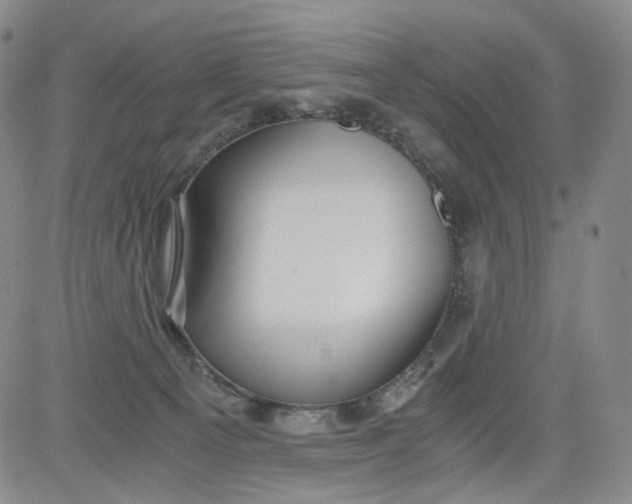 X0000084040129200703022158