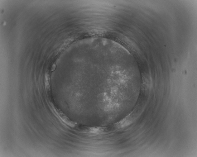 X0000084040130200703022158