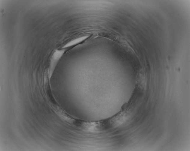 X0000084040131200703022158