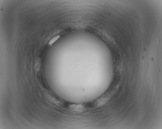 X0000084040133200703022158