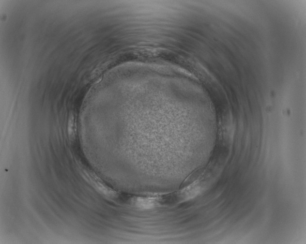 X0000084040134200703022158