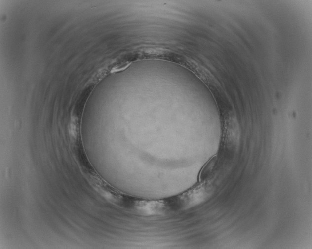 X0000084040135200703022158