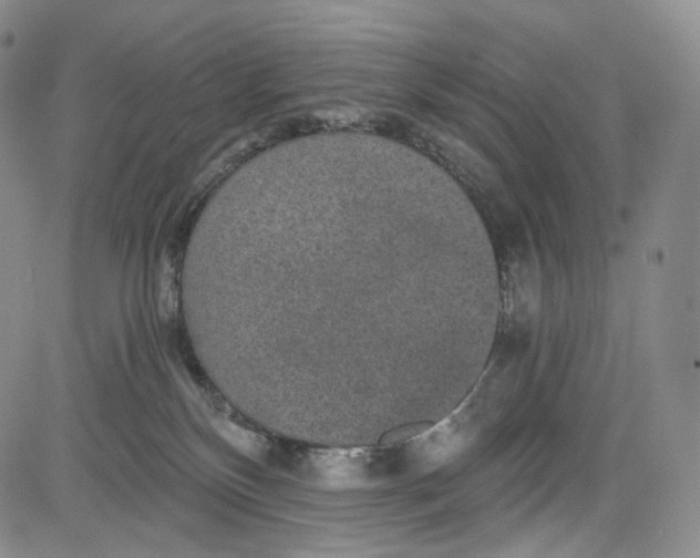 X0000084040136200703022158